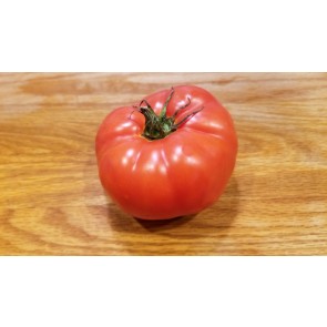 Tomato 'Italian Beefsteak' 