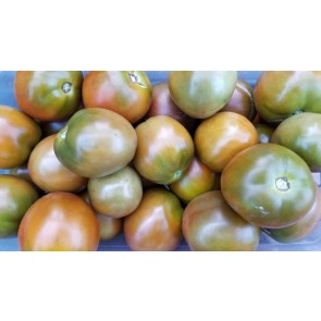 Tomato 'Nyagous'