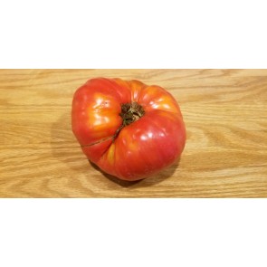 Tomato 'Palo Alto'