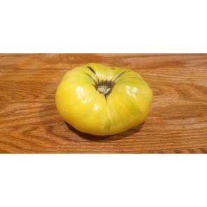 Tomato 'Great White'