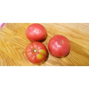 Tomato 'Missouri Pink Love Apple’ Seeds (Certified Organic)