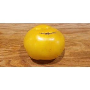 Tomato 'Manyel' Seeds (Certified Organic)