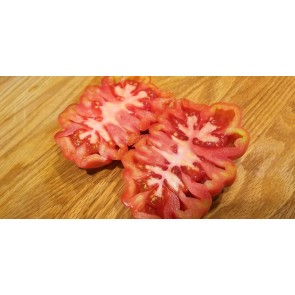Tomato 'Pink Accordion' Plant (4