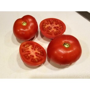 Tomato 'Beefsteak' Seeds (Certified Organic)
