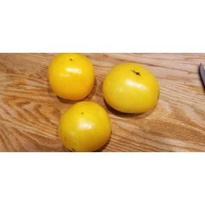 Tomato 'Lemon Boy F2' Seeds (Certified Organic)