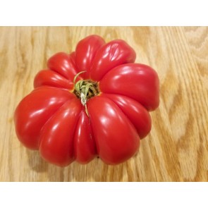 Tomato 'Red Mushroom Basket' Seeds (Certified Organic)