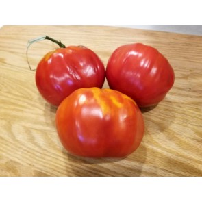 Tomato 'Red Monkey Ass’ 