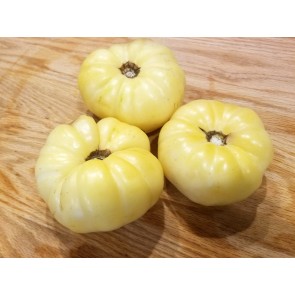 Tomato 'White Queen'