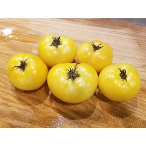 Tomato 'White Bush' 