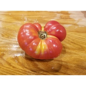 Tomato 'Lil's Favorite'