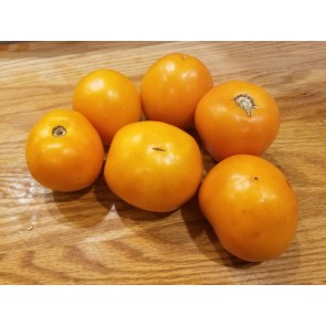 Tomato 'Valencia'