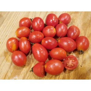 Tomato 'Principe Borghese'