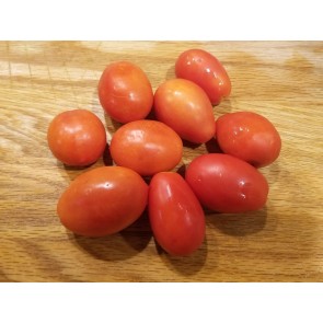 Tomato 'Napoli' 