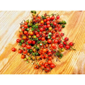 Tomato 'Sweet Pea'