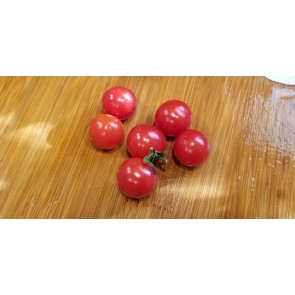 Tomato 'Matt's Wild Cherry'