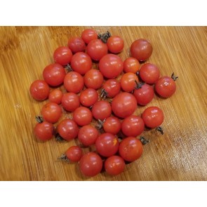 Tomato 'Candyland Red F2' Seeds (Certified Organic)