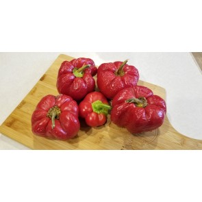 Sweet Pepper 'Pritamin Paprika' Seeds (Certified Organic)