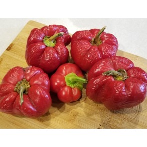 Sweet Pepper 'Pritamin Paprika' 