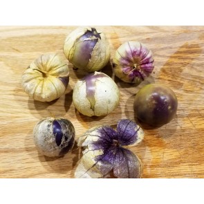 Tomatillo 'Purple' Seeds (Certified Organic)