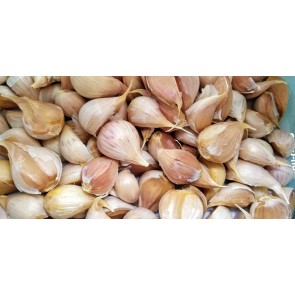 Certified Organic Music Culinary Garlic Harvested on our Farm - 4 oz. Bag