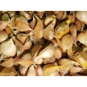 Certified Organic German White Culinary Garlic Harvested on our Farm - 4 oz. Bag (FARM PICK-UP)