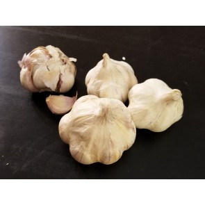 Certified Organic Kettle River Giant Culinary Garlic Harvested on our Farm - 4 oz. Bag (FARM PICK-UP)