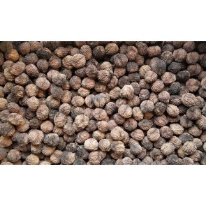 Certified Organic Black Walnuts In-Shell Harvested on our Farm - 1 lb. Bag
