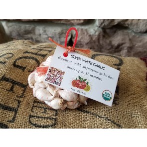 Certified Organic Silver White Culinary Garlic Harvested on our Farm - 4 oz. Bag