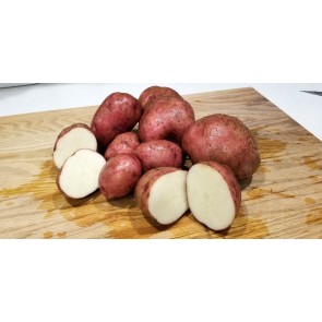 Certified Organic Red Pontiac Seed Potatoes - 2020 Spring - Harvested on our Farm