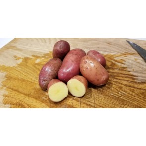 Certified Organic French Fingerling Seed Potatoes - 2020 Spring - Harvested on our Farm 