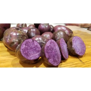 Certified Organic Adirondack Blue Seed Potatoes - 2020 Spring - Harvested on our Farm