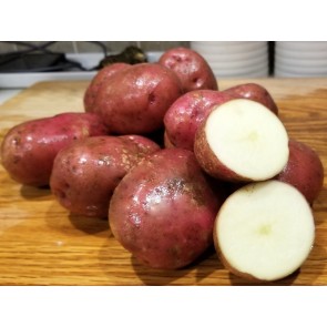 Certified Organic Red Norland Seed Potatoes - 2023 Spring - Harvested on our Farm