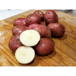 Certified Organic Red Norland Seed Potatoes - 2020 Spring - Harvested on our Farm