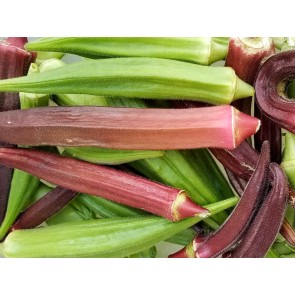 Okra ‘Bowling Red’ 