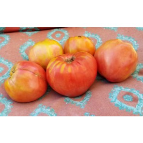 Tomato 'Orlinyi Klyuv' AKA 'Eagle’s Beak' Seeds (Certified Organic)