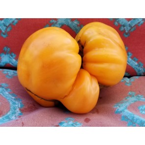 Tomato 'Goldie' Seeds (Certified Organic)