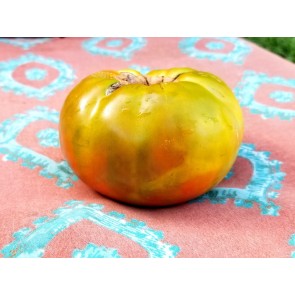 Tomato 'Captain Lucky' 