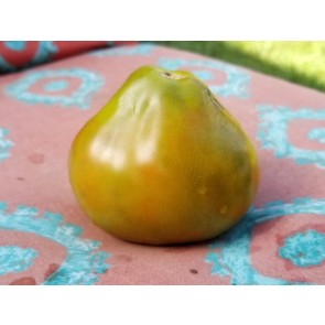 Tomato 'Japanese Black Trifele'