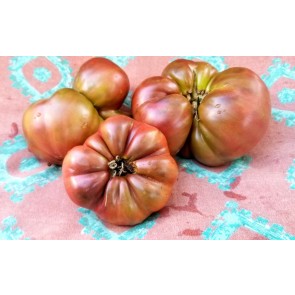 Tomato 'BKX' AKA 'Black Krim Potato Leaf' 