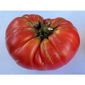 Tomato 'Olive Hill'