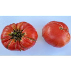 Tomato 'Olive Hill' Seeds (Certified Organic)