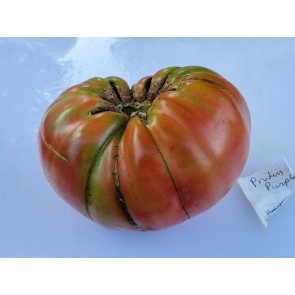 Tomato 'Pruden's Purple'