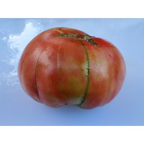 Tomato 'Pruden's Purple' Seeds (Certified Organic)