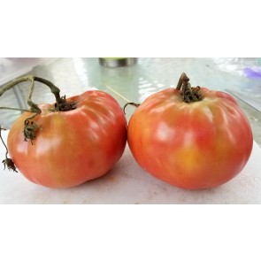 Tomato 'Soldacki' Seeds (Certified Organic)
