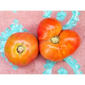 Tomato 'Sandul Moldovan' Seeds (Certified Organic)