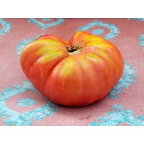 Tomato 'Sandul Moldovan'