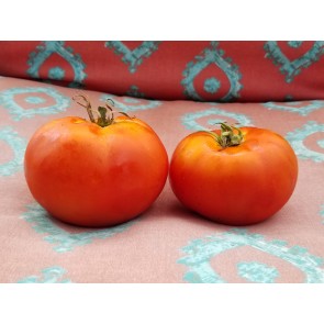 Tomato 'Chalk's Early Jewel' Seeds (Certified Organic)