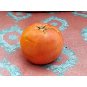 Tomato 'Razzleberry F2'