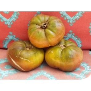 Tomato 'Black Brandywine' Plant (4" Pot, single)