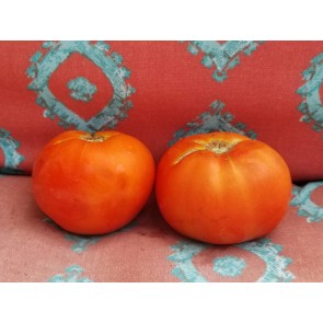 Tomato 'Abraham Lincoln' Seeds (Certified Organic)